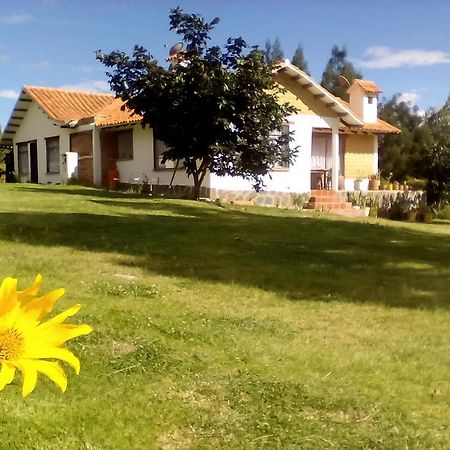 Hospedaje Y Zona De Camping Pistacho Guest House Villa de Leyva Ngoại thất bức ảnh
