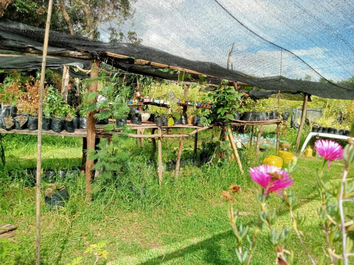 Hospedaje Y Zona De Camping Pistacho Guest House Villa de Leyva Ngoại thất bức ảnh