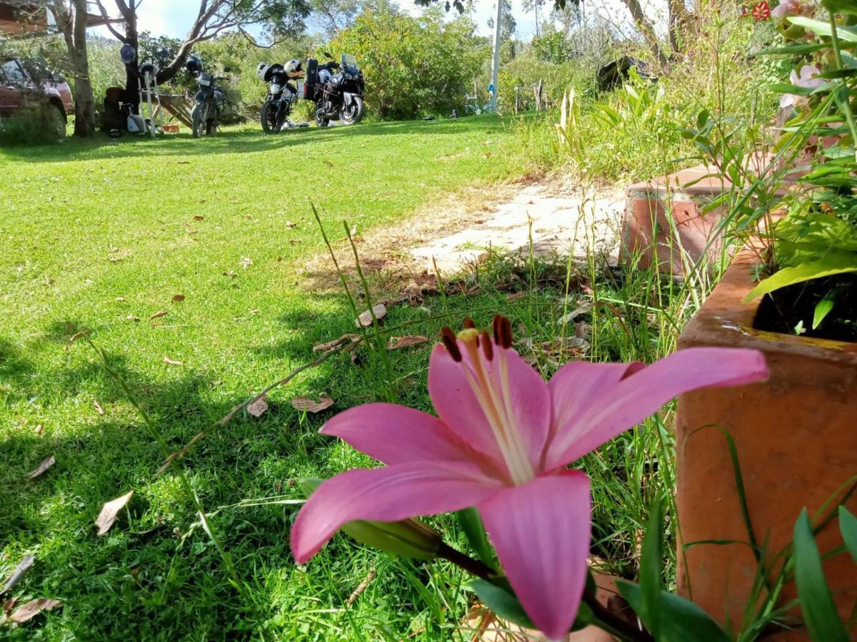 Hospedaje Y Zona De Camping Pistacho Guest House Villa de Leyva Ngoại thất bức ảnh