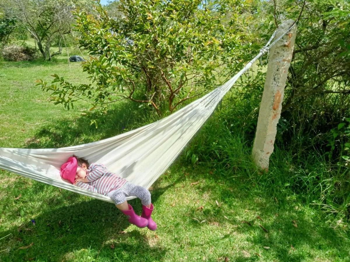 Hospedaje Y Zona De Camping Pistacho Guest House Villa de Leyva Ngoại thất bức ảnh