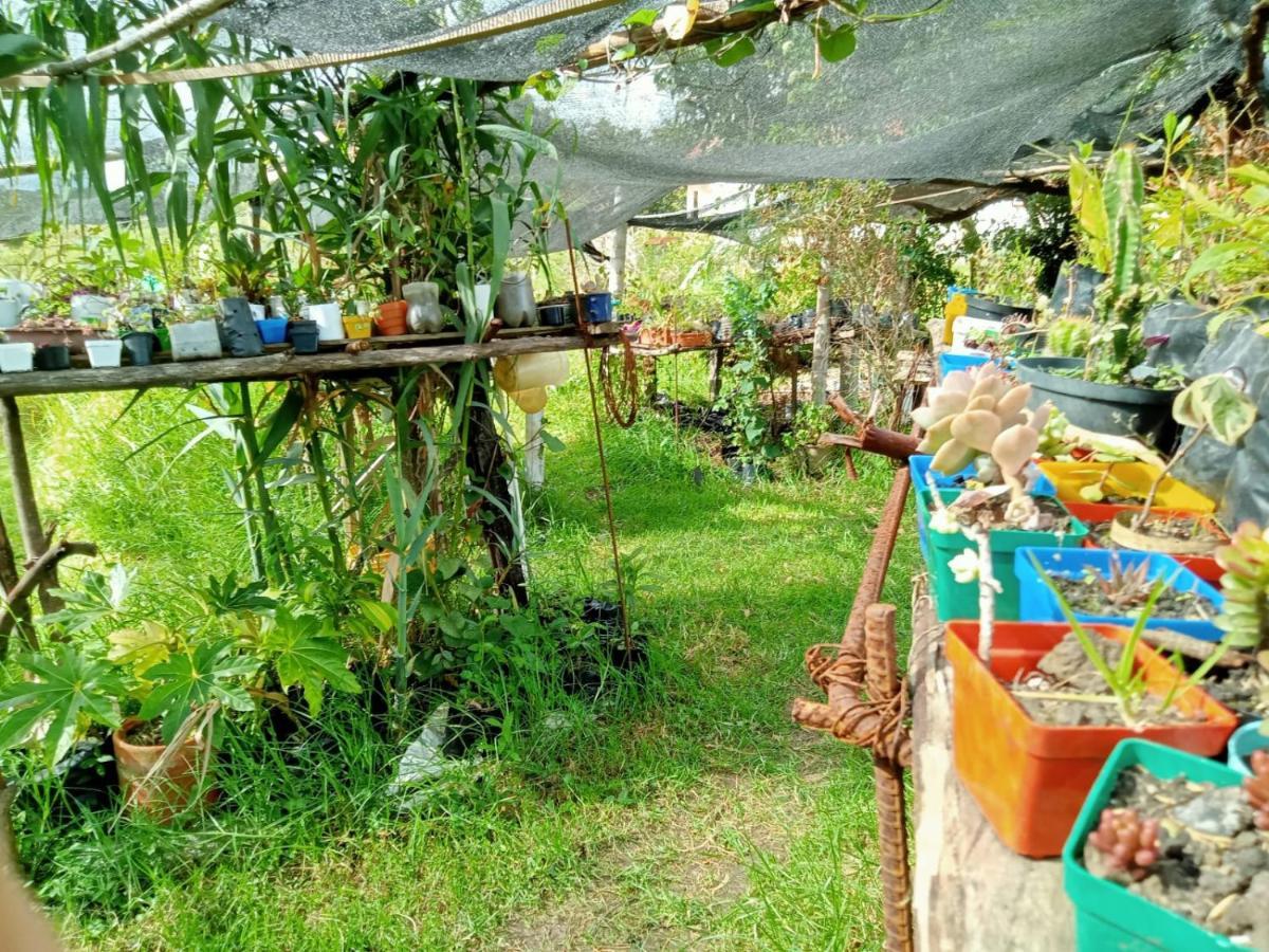 Hospedaje Y Zona De Camping Pistacho Guest House Villa de Leyva Ngoại thất bức ảnh