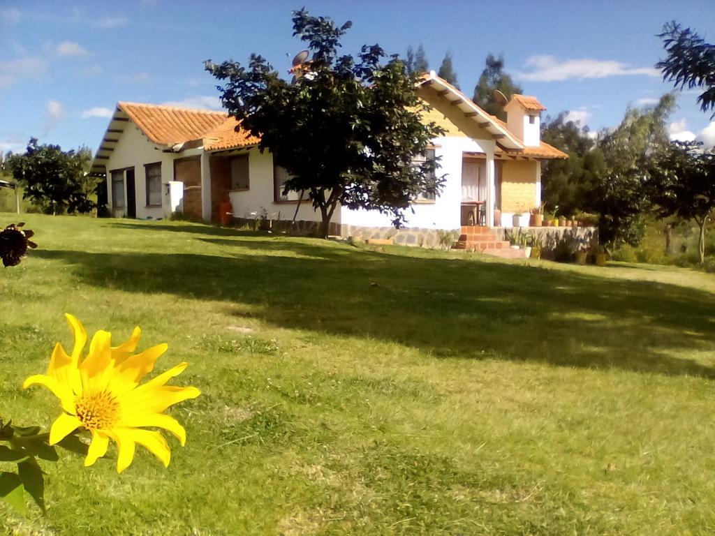 Hospedaje Y Zona De Camping Pistacho Guest House Villa de Leyva Ngoại thất bức ảnh