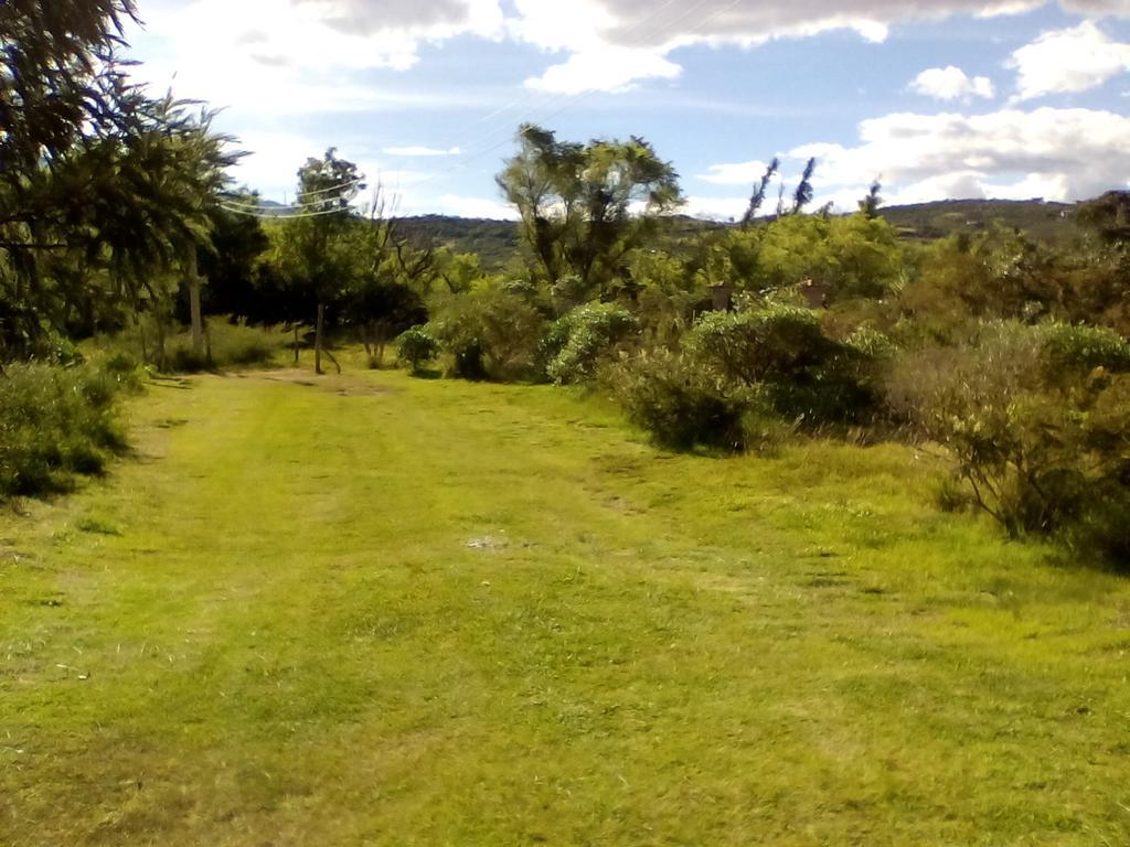 Hospedaje Y Zona De Camping Pistacho Guest House Villa de Leyva Ngoại thất bức ảnh